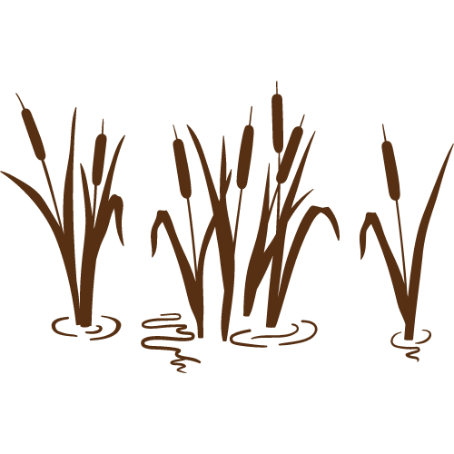 reed icon reed icon