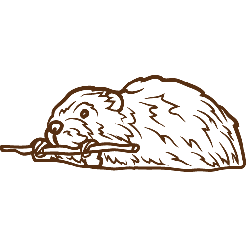 beaver icon beaver icon