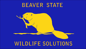 Beaver state wildlife solutions logo